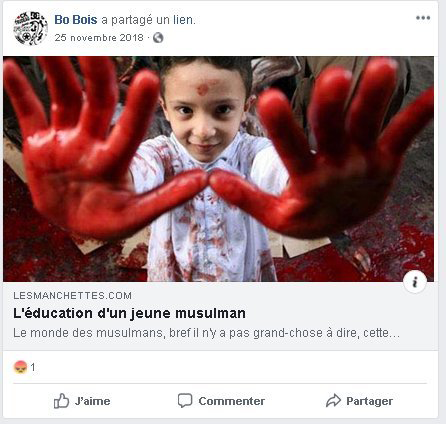  An example of the Islamophobic headlines found on André Boies’ website.