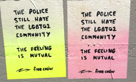 Solidarity Statement with Cedar and the Radical Queer Community in Hamilton